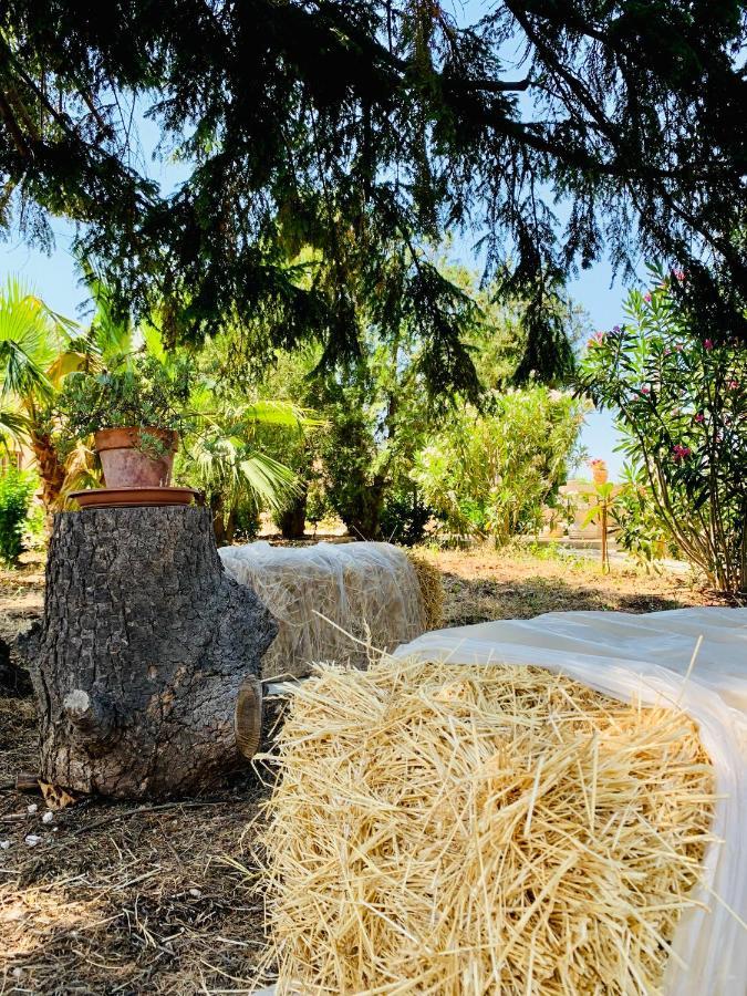 Vila Trulli Pietra Viva Alberobello Exteriér fotografie